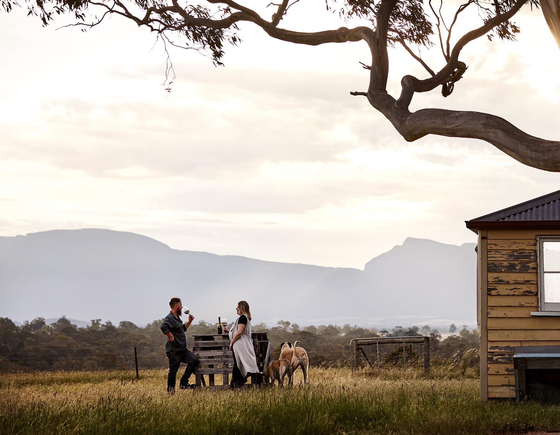 Kazari Christmas drinks by Black & Ginger Wines