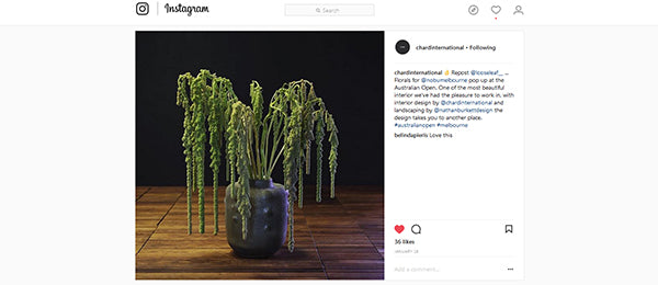 Kazari at the Australian Open 2018