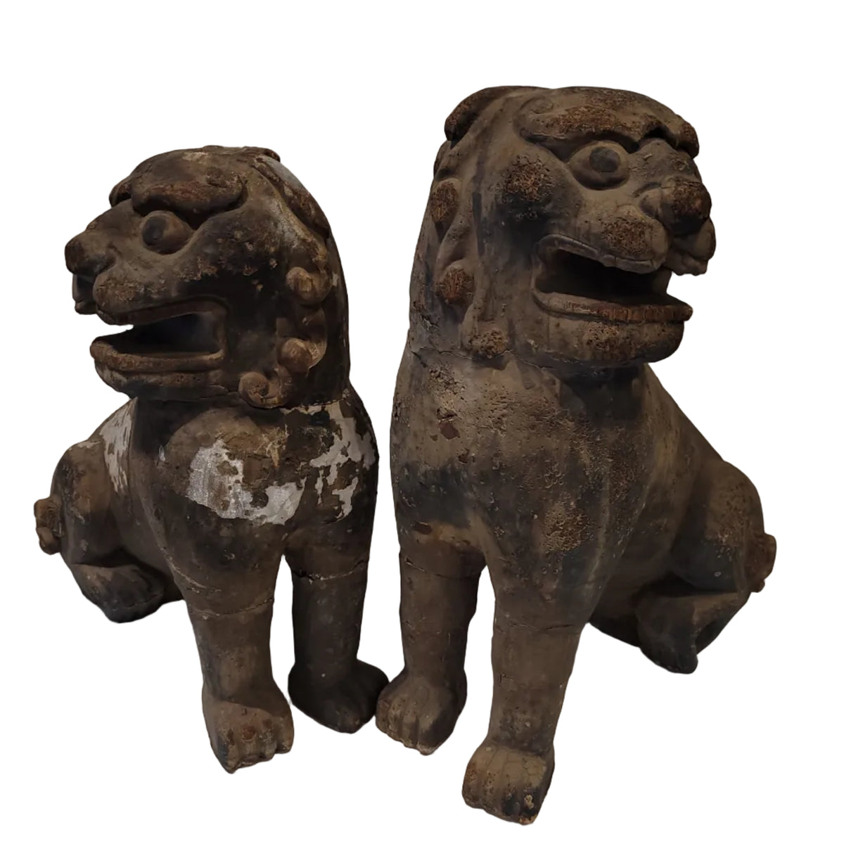 Korean guardian lion dogs