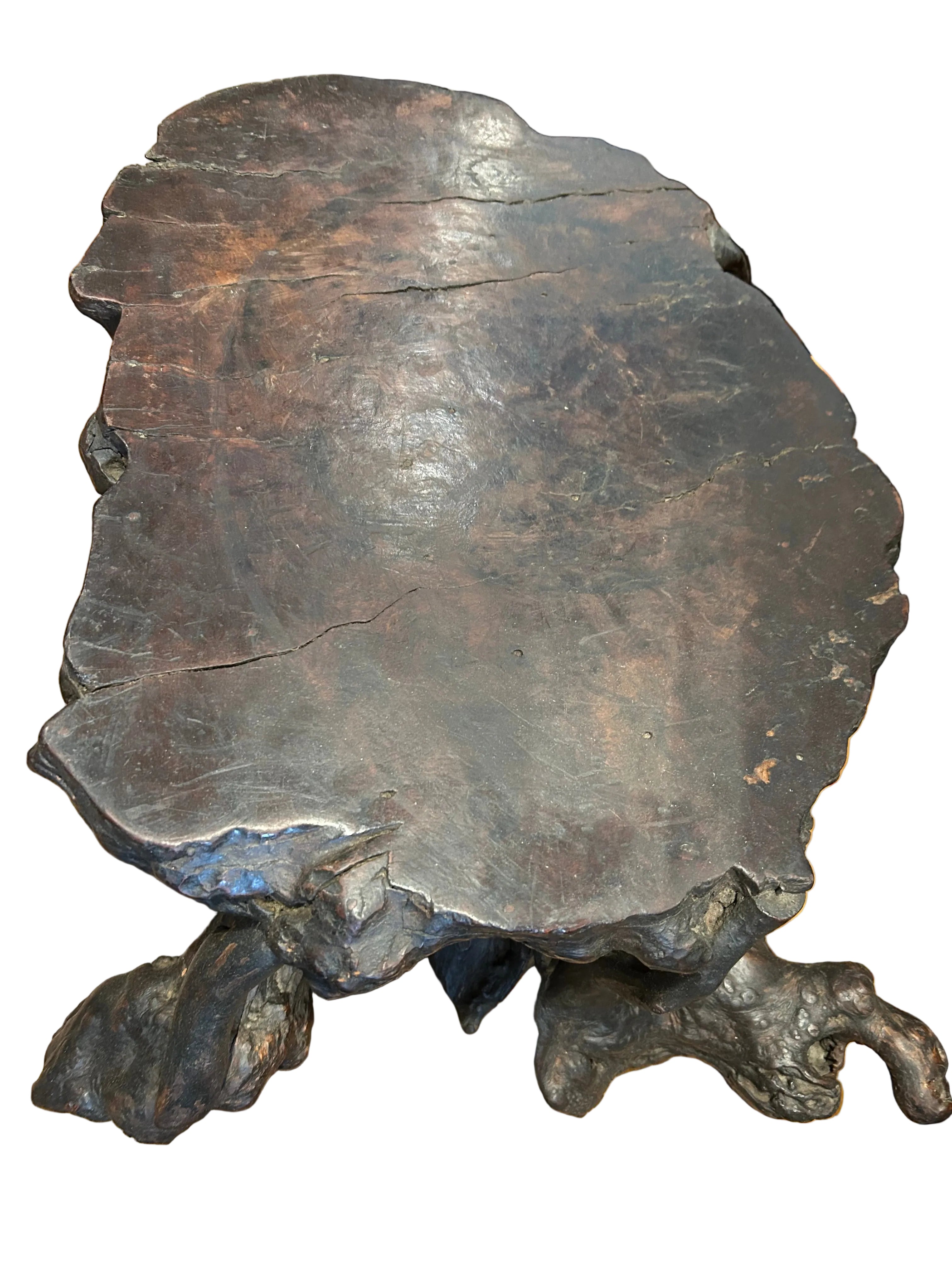 Chinese root display stand - DAI

Perfect for the display of flowers or significant items.