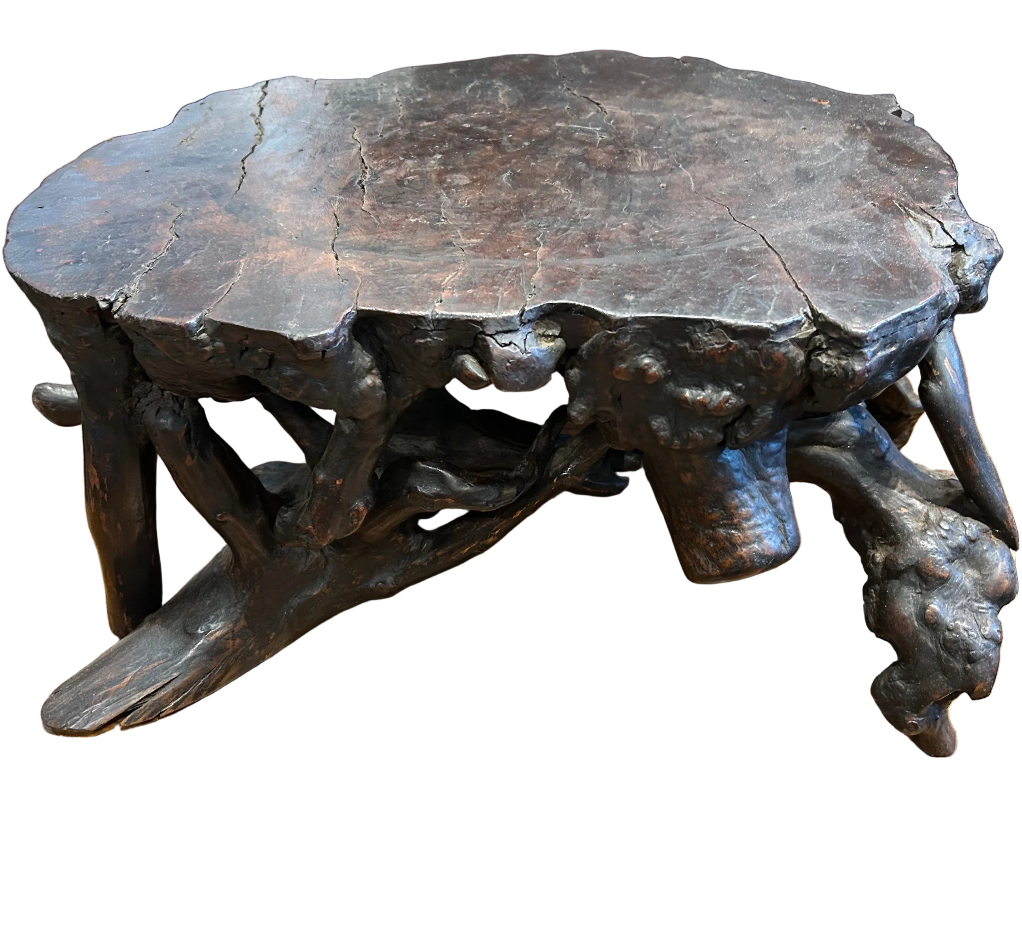 Chinese root stand - Dai