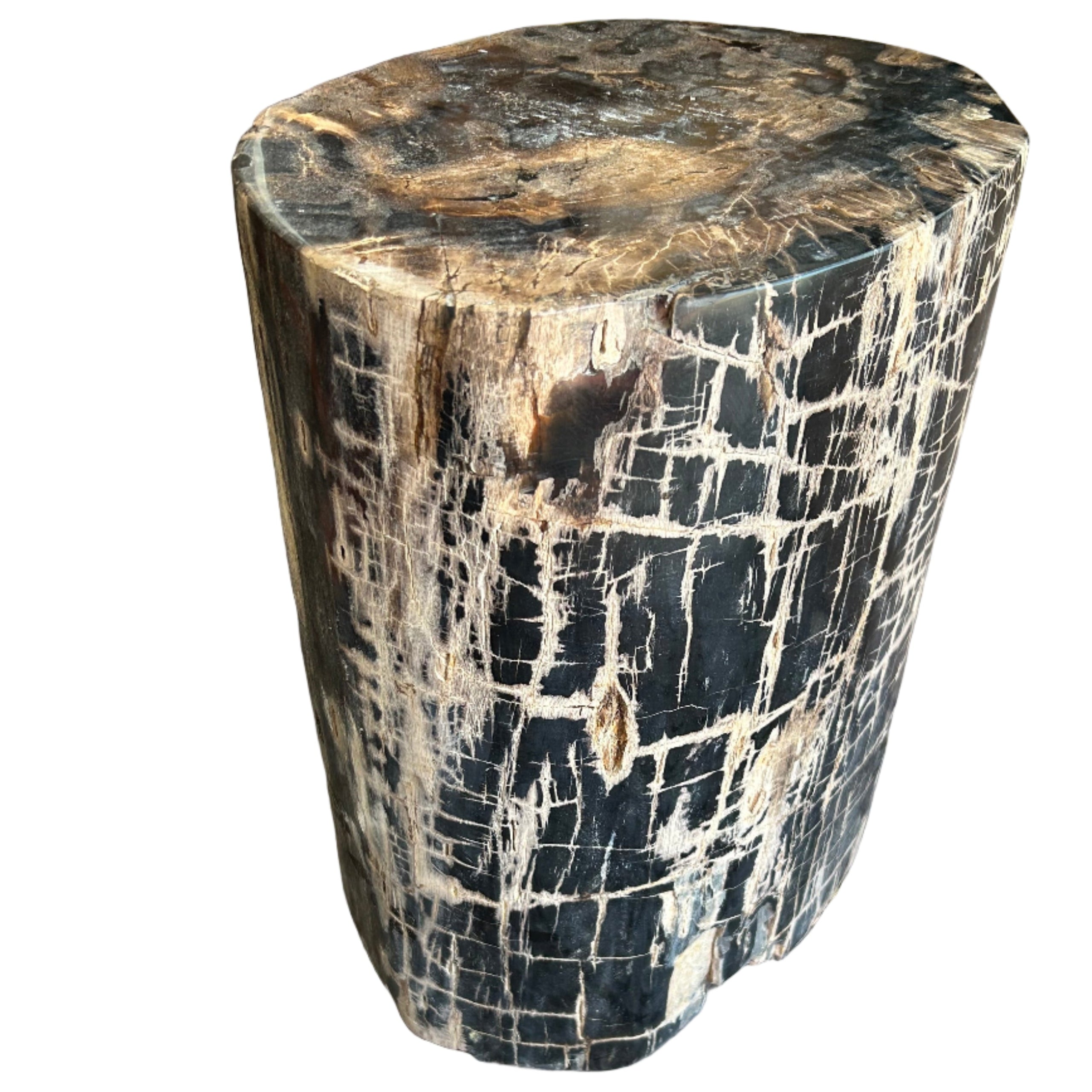  Petrified wood stump side tale