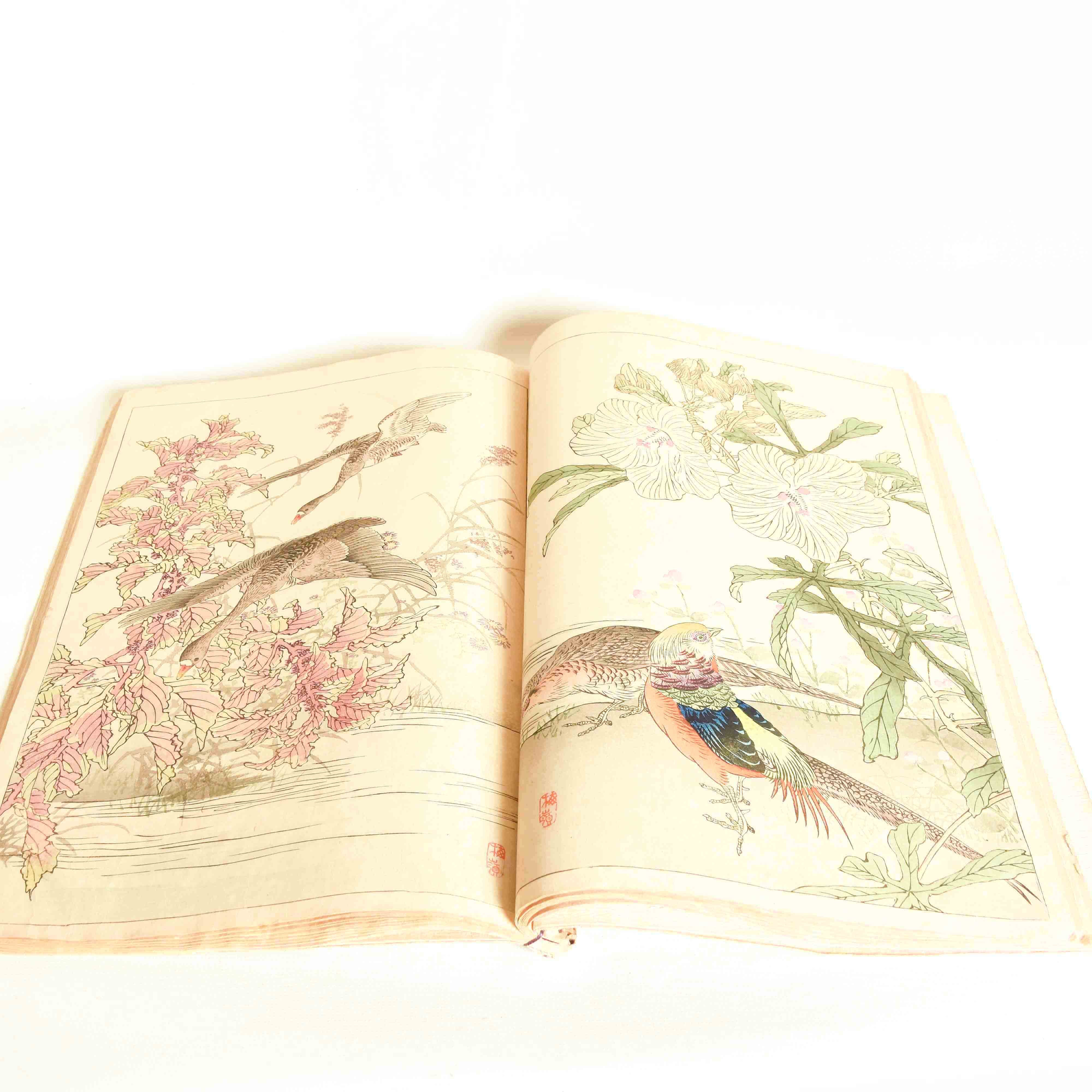 A collection of Japanese paintings by Kono Bairei - JP20009